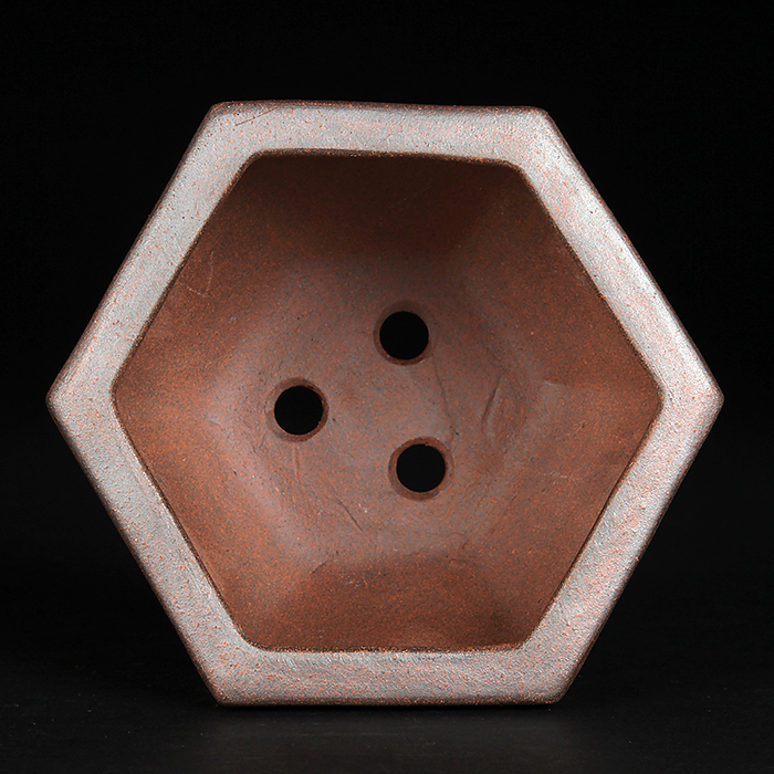 黎鳳六角鉢 | 盆栽、盆栽書籍、盆栽鉢の通販│近代出版