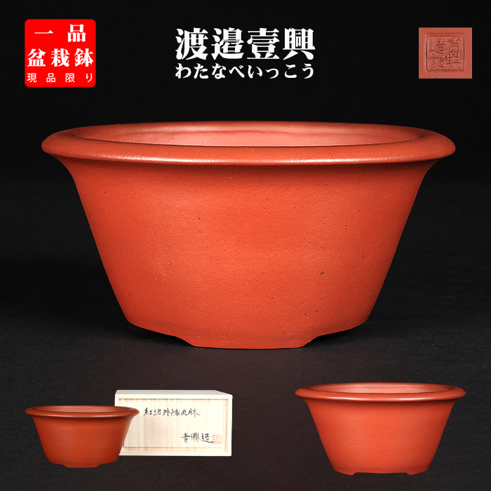 美芸鉢 懸崖鉢 和鉢 ミニ鉢 2点セット 【公式通販】