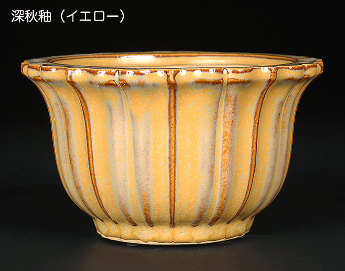 秀峰2点セット！太鼓 盆栽鉢 秀峰2点セット！太鼓 盆栽鉢 秀峰2点