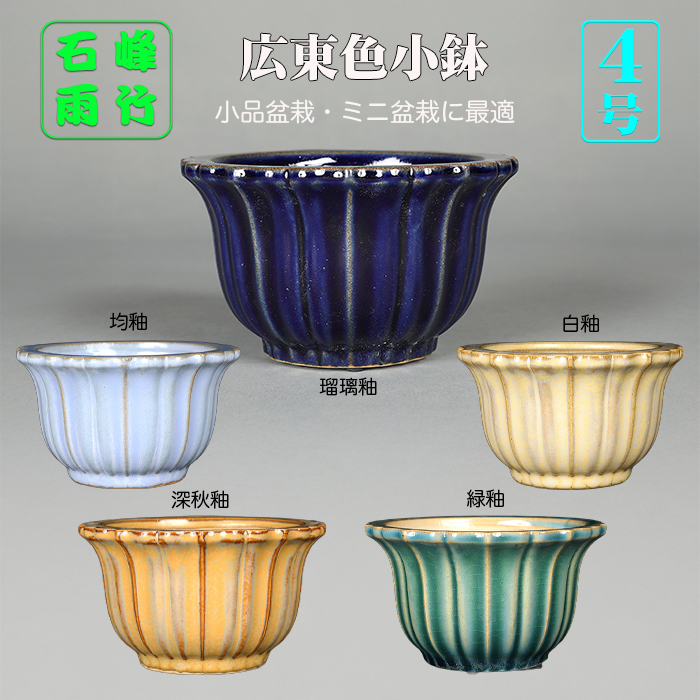 高級色小鉢 | 盆栽、盆栽書籍、盆栽鉢の通販│近代出版