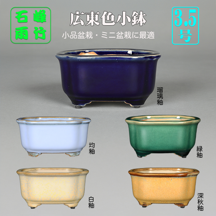 高級色小鉢 | 盆栽、盆栽書籍、盆栽鉢の通販│近代出版
