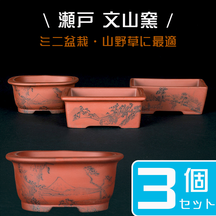 文山 丸 花模様 盆栽鉢 文山 丸 花模様 盆栽鉢 文山 丸 花模様 盆栽鉢