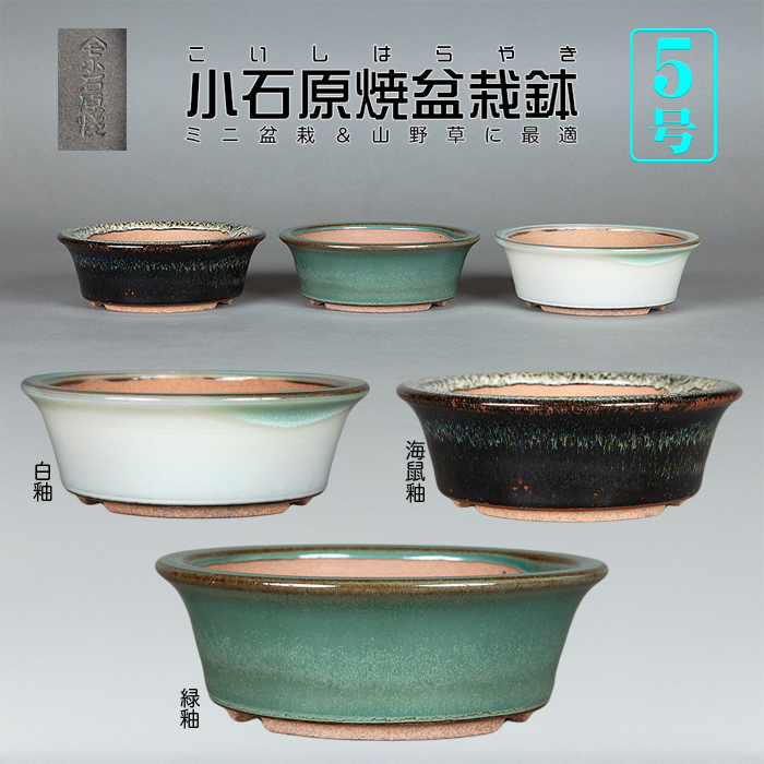 青磁 盆栽鉢 青磁 盆栽 五彩鉢 青花磁器鉢 円口鉢 盆栽鉢 植木鉢