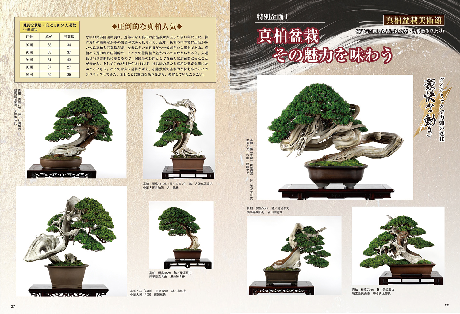 中国宜興 ☆盆栽日和☆ 中国古盆器 白泥釘彫り梅花