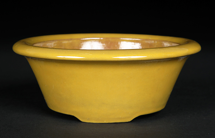 美芸 楕円 黄 盆栽鉢