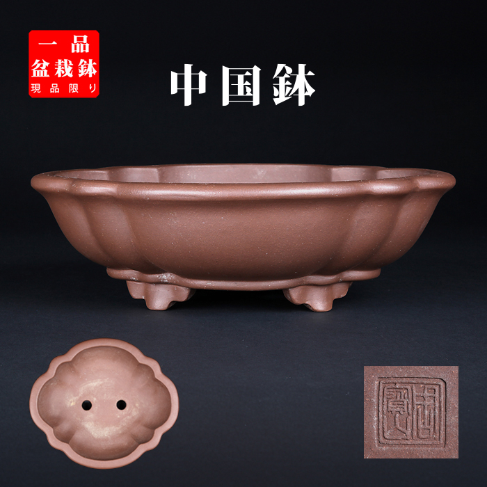 中国古渡 【宜興松亭自造】 盆栽鉢/植木鉢/平鉢/水盤 中国古渡 【宜興