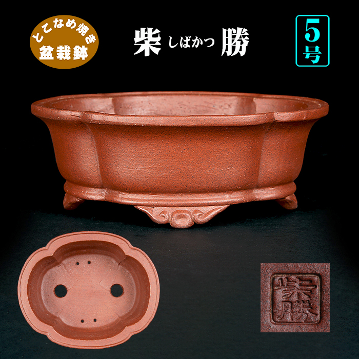 常滑鉢 | 盆栽、盆栽書籍、盆栽鉢の通販│近代出版