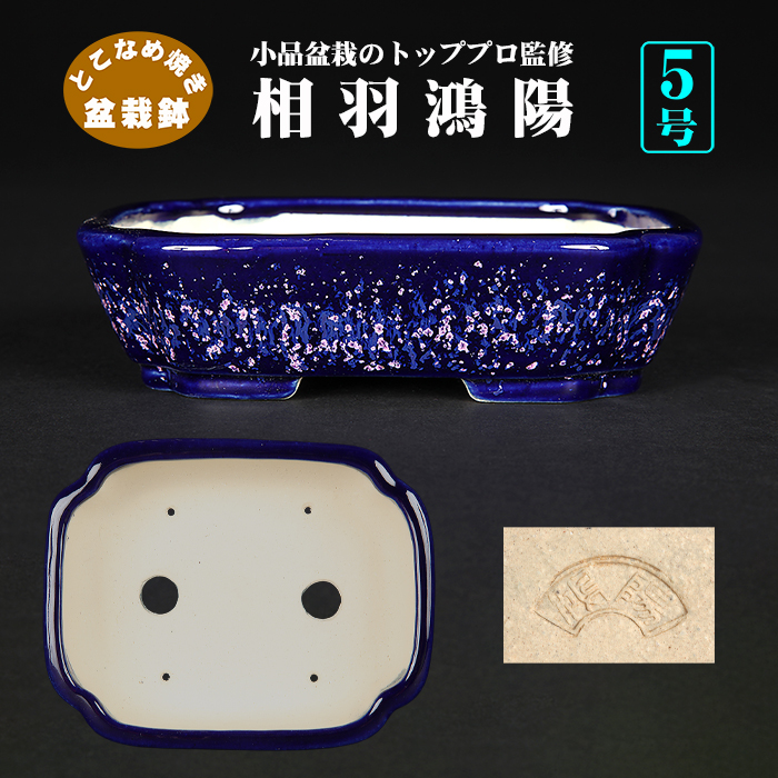 谷樂方山小品盆栽