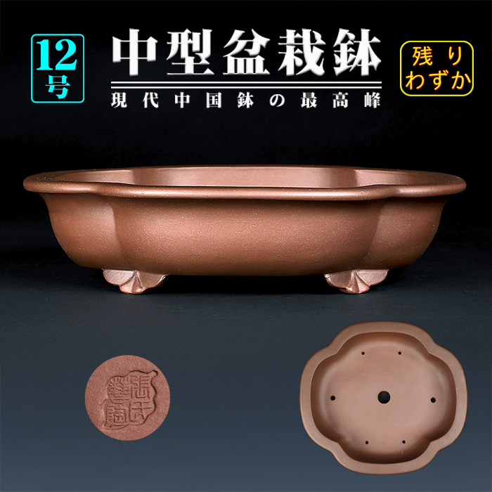 盆栽鉢中国鉢植木鉢観葉植物山野草宜興紫砂長方隅入徳寶紫砂Horn