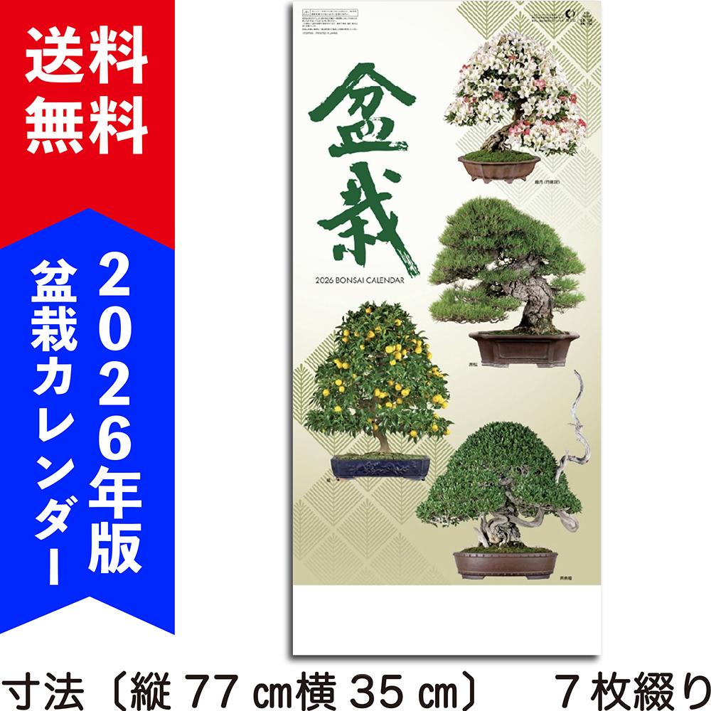 ☆未使用 景徳鎮 有名作家物 大鉢 未使用 景