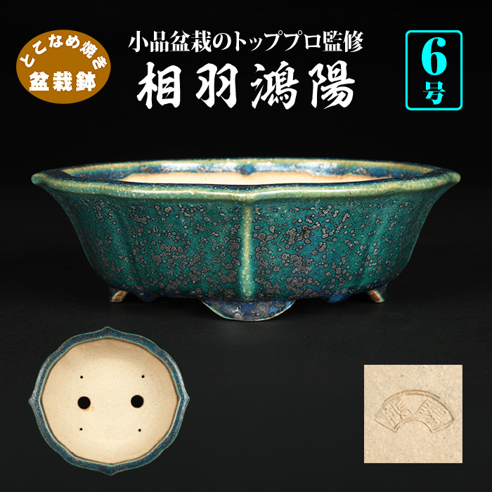 常滑焼 盆栽鉢 「鴻陽陶園」樹晃 楽天市場】盆栽鉢 常滑 晃