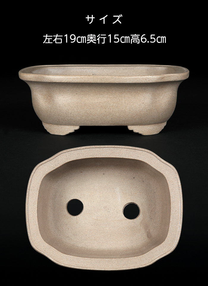 銭号 盆栽鉢 銭号撫角長方鉢 | 盆栽、盆栽書籍、盆栽