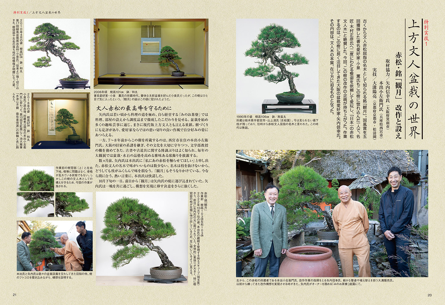 在位五拾周年記念鉢 長方 盆栽鉢 楽天市場】盆栽鉢 植木鉢 【瀬戸焼