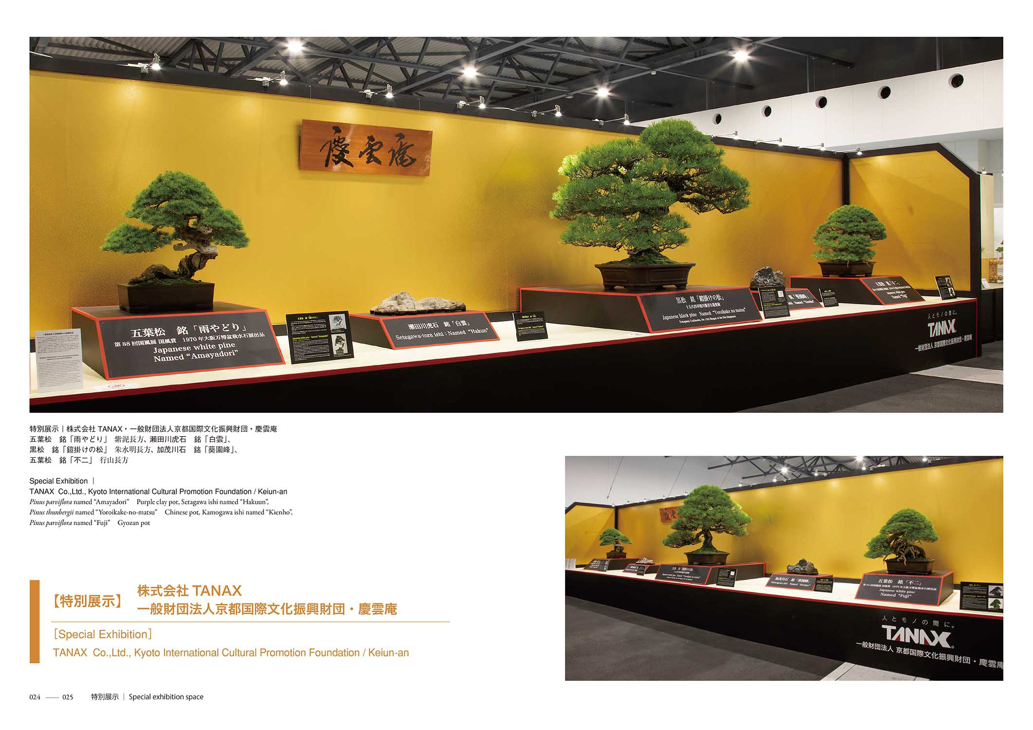 EXPO2025 日本盆栽•水石展記念帳 | 盆栽、盆栽書籍、盆栽鉢の通販