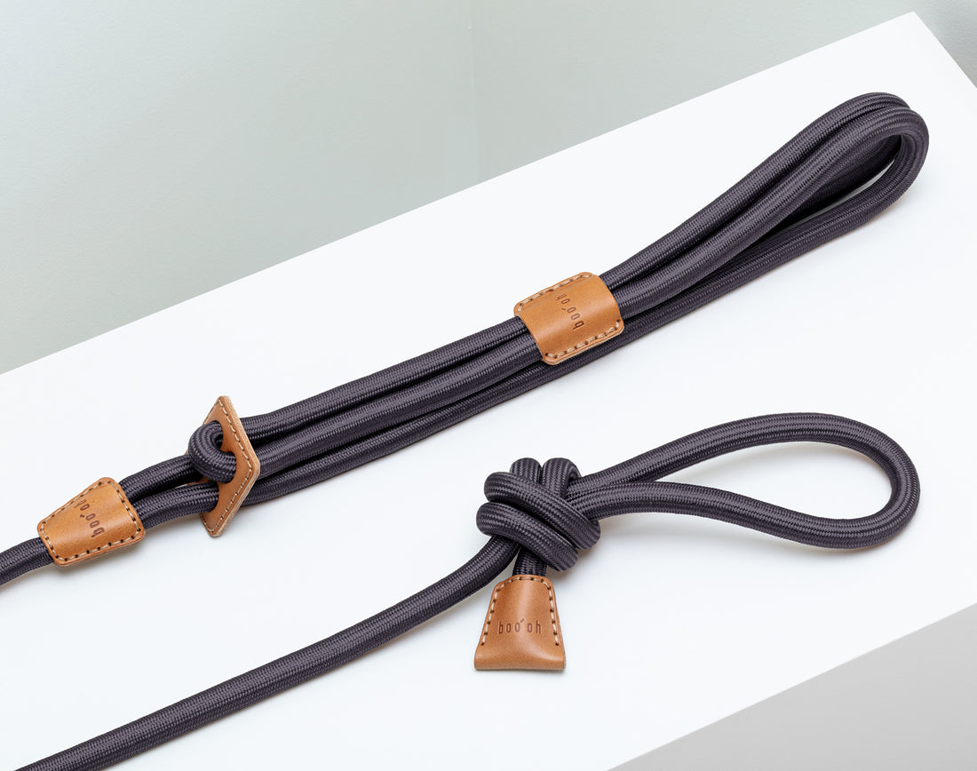 Ray Harness – Boo Oh