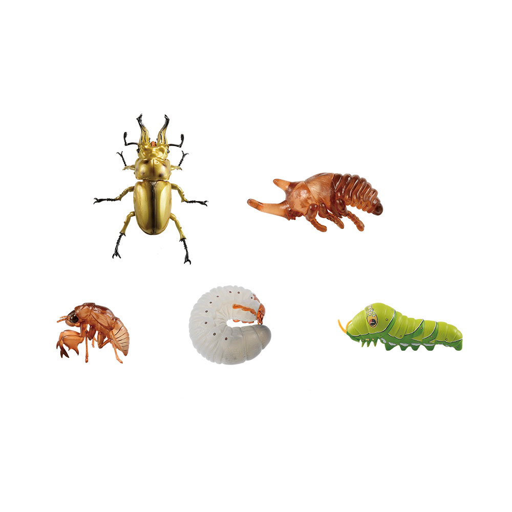 一番くじ昆虫 世界の昆虫だいしゅうごう！│株式会社BANDAI SPIRITS