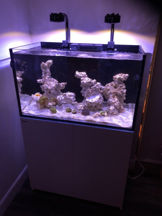 水槽 BRN32 Red Sea Reefer 250 Red Sea REEFER-250 G2 Deluxe Premium