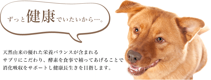 ビッグウッド ビッグウッド「はぐくむ酵素 180g」（旧称：元気な酵素