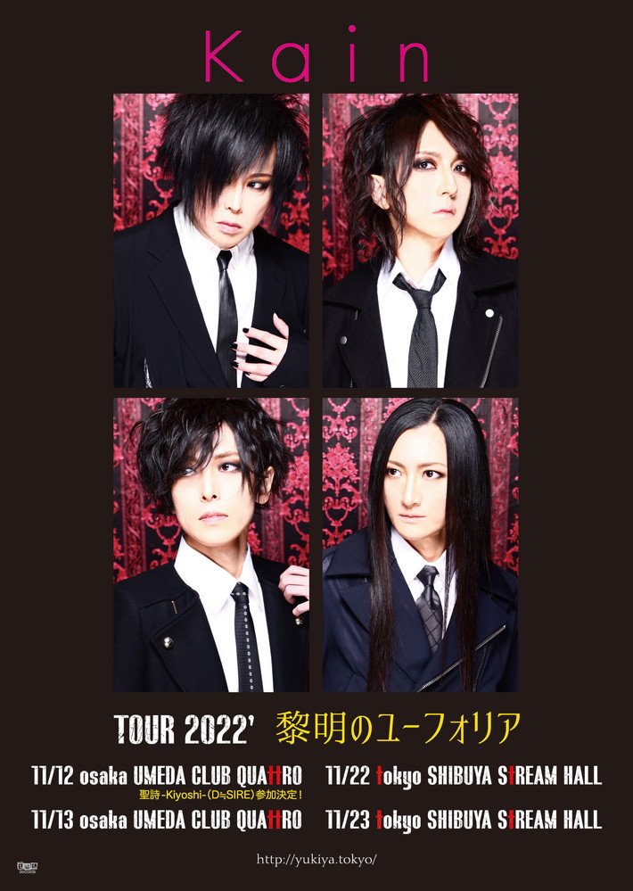 D≒SIRE kαin 30周年記念セット CD 藤田幸也 JILS D≒SIRE kαin 30周年