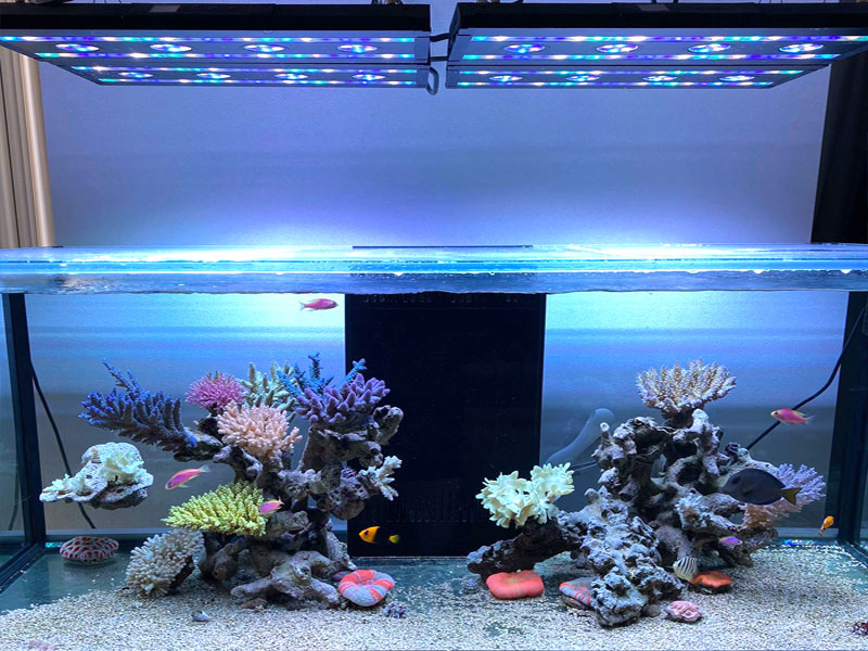 SPECTRA SP200 WiFi LED水槽ライト SPECTRA SP200（スペクトラ