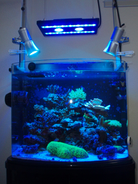 バイタルウェーブ7W シアン 2? ?3月25日設置｜レビュー｜KR-CLUB