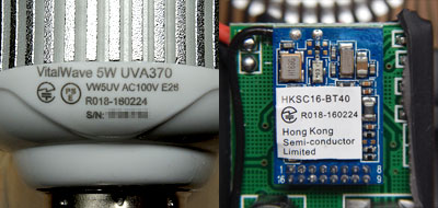 バイタルウェーブ/VitalWave｜ブルーハーバー