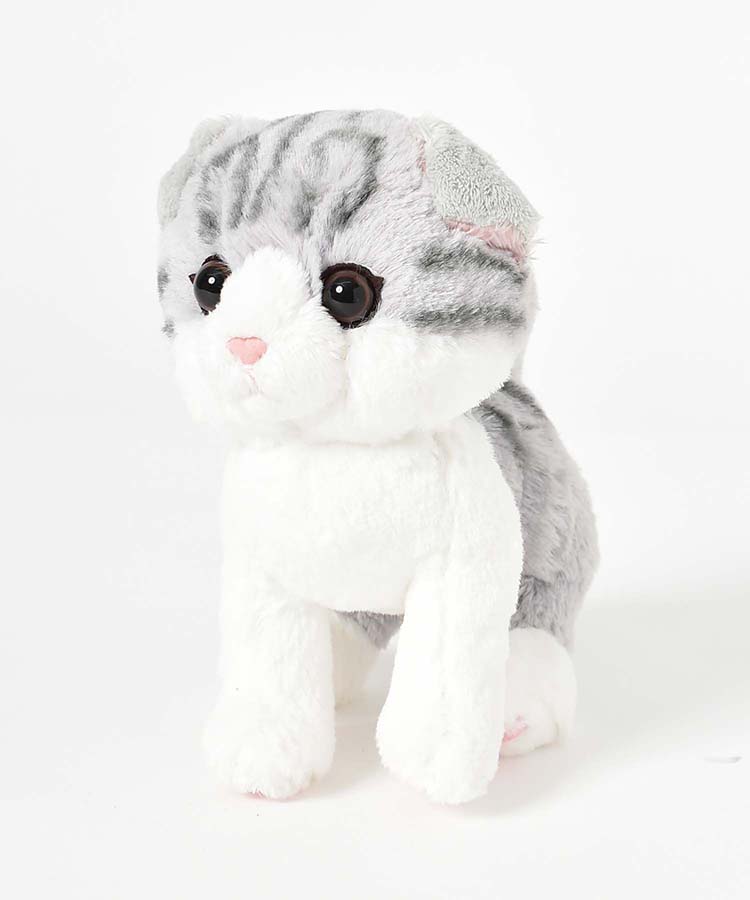 キトンぬいぐるみ ぬいぐるみ キャラクター グッズ ねこ ネコ 猫 cat
