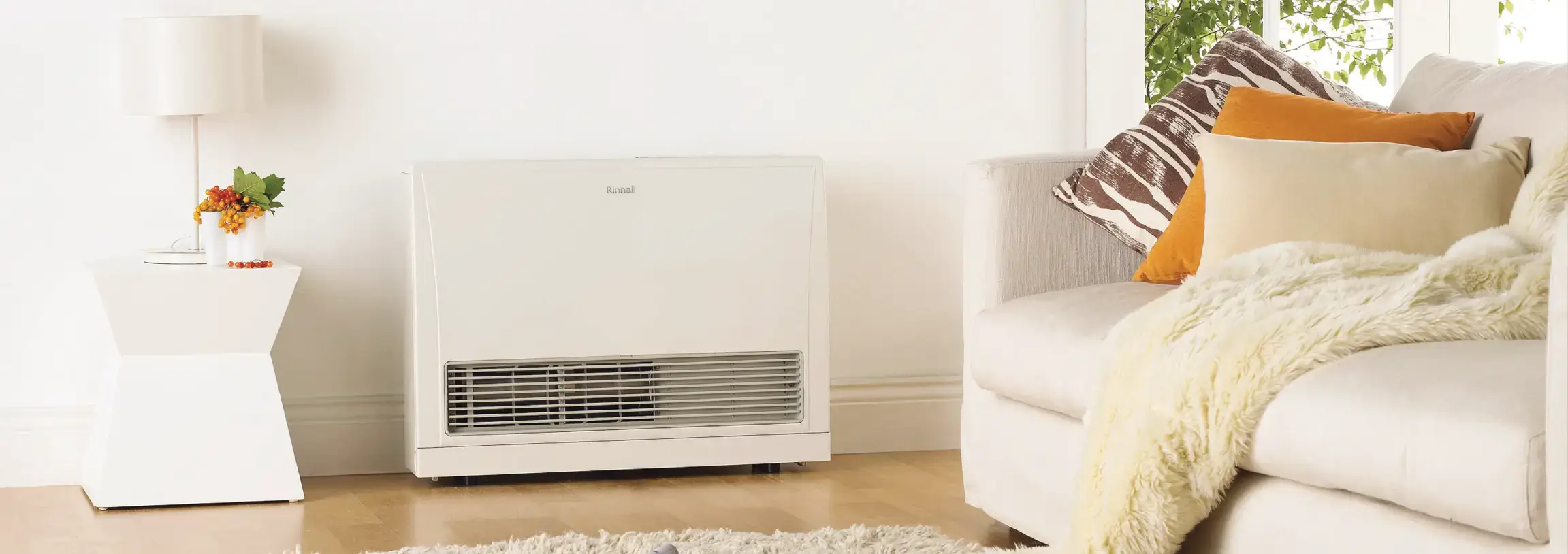 Rinnai EX22 Series Direct Vent Wall Heater - Blossman Gas