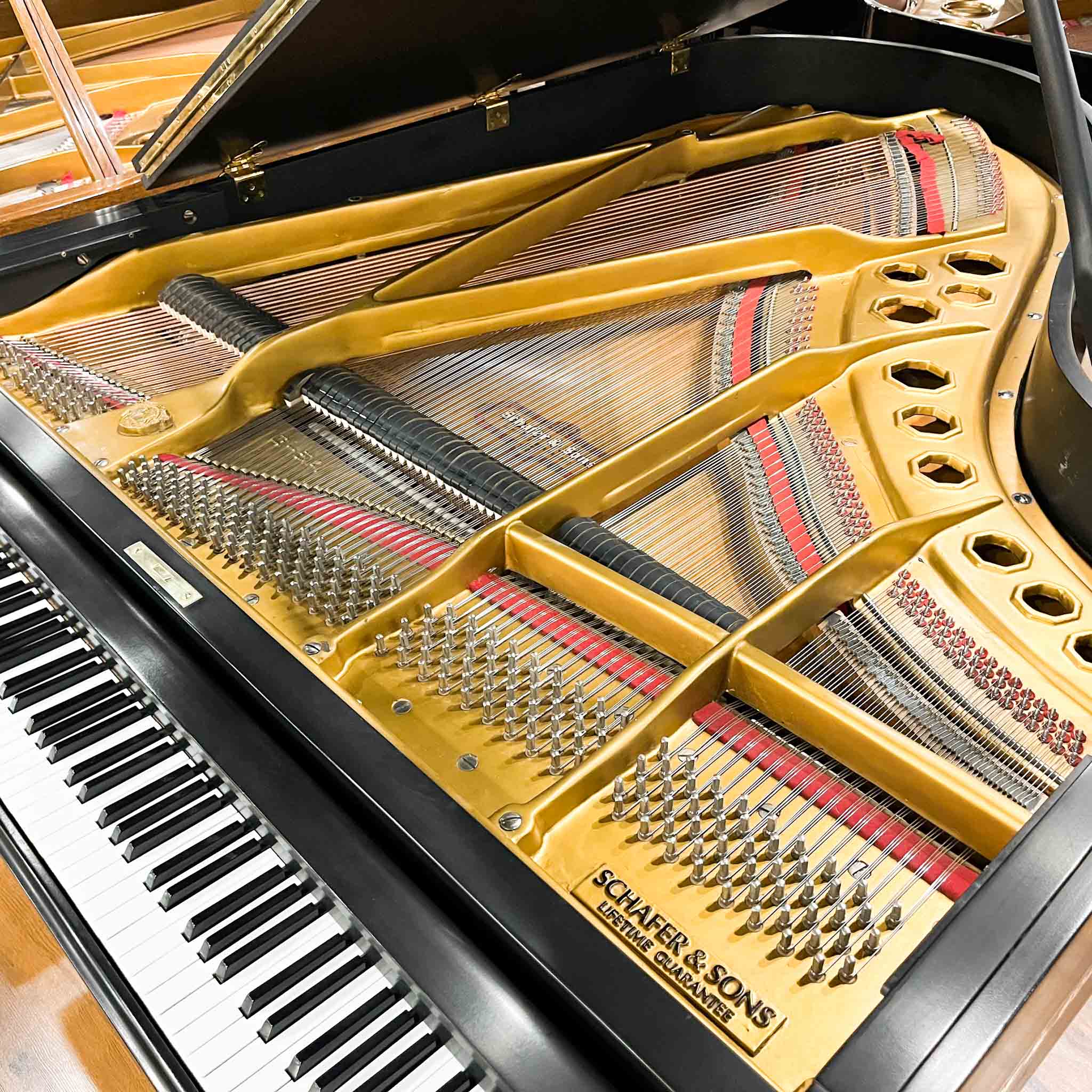 IMG_2182_jpg.jpg?v=1739818033&