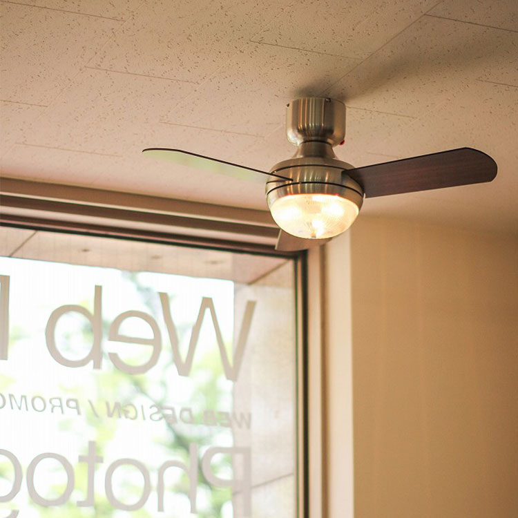MEHVE Ceiling fan light 電球付き