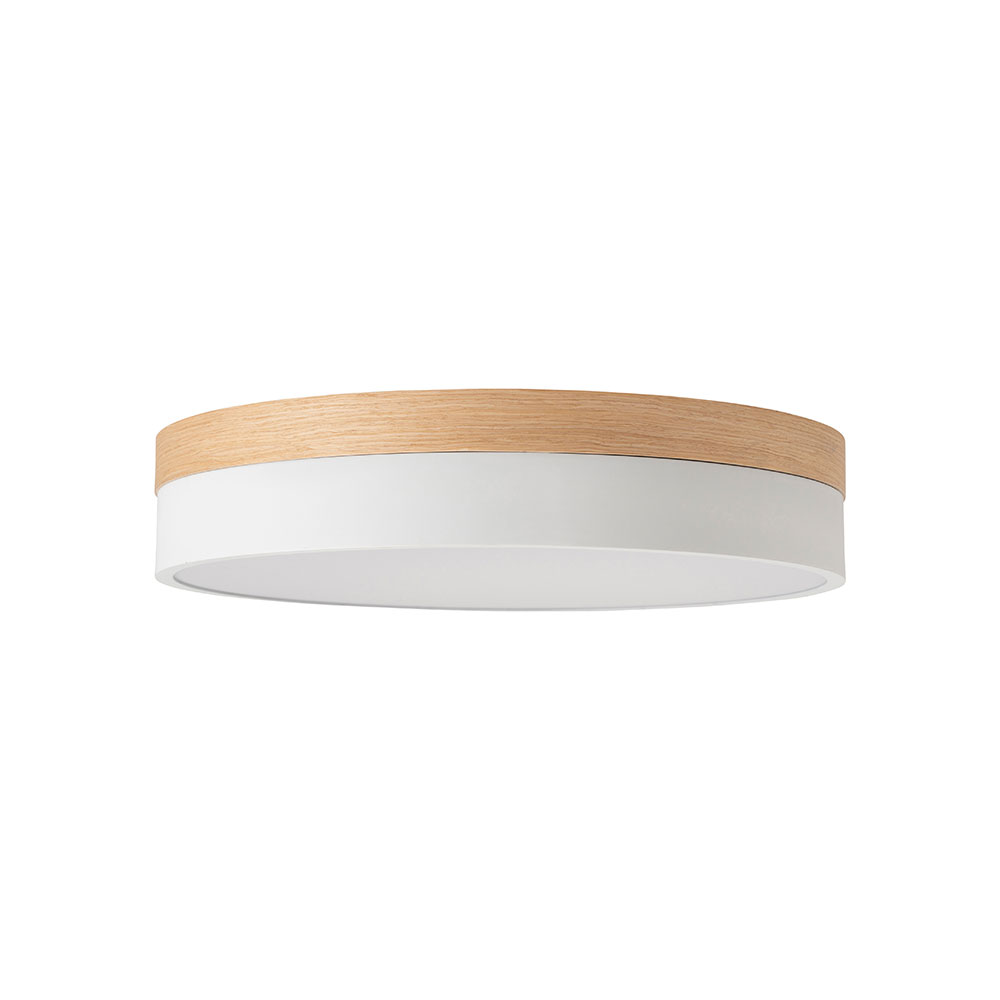 003371 Olika LED CEILING LIGHT Ver.2 | BRID