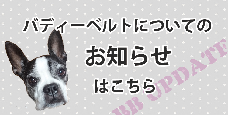 3号サイズ ラインストーン付き BUDDY BELTS バディーベルト バディ