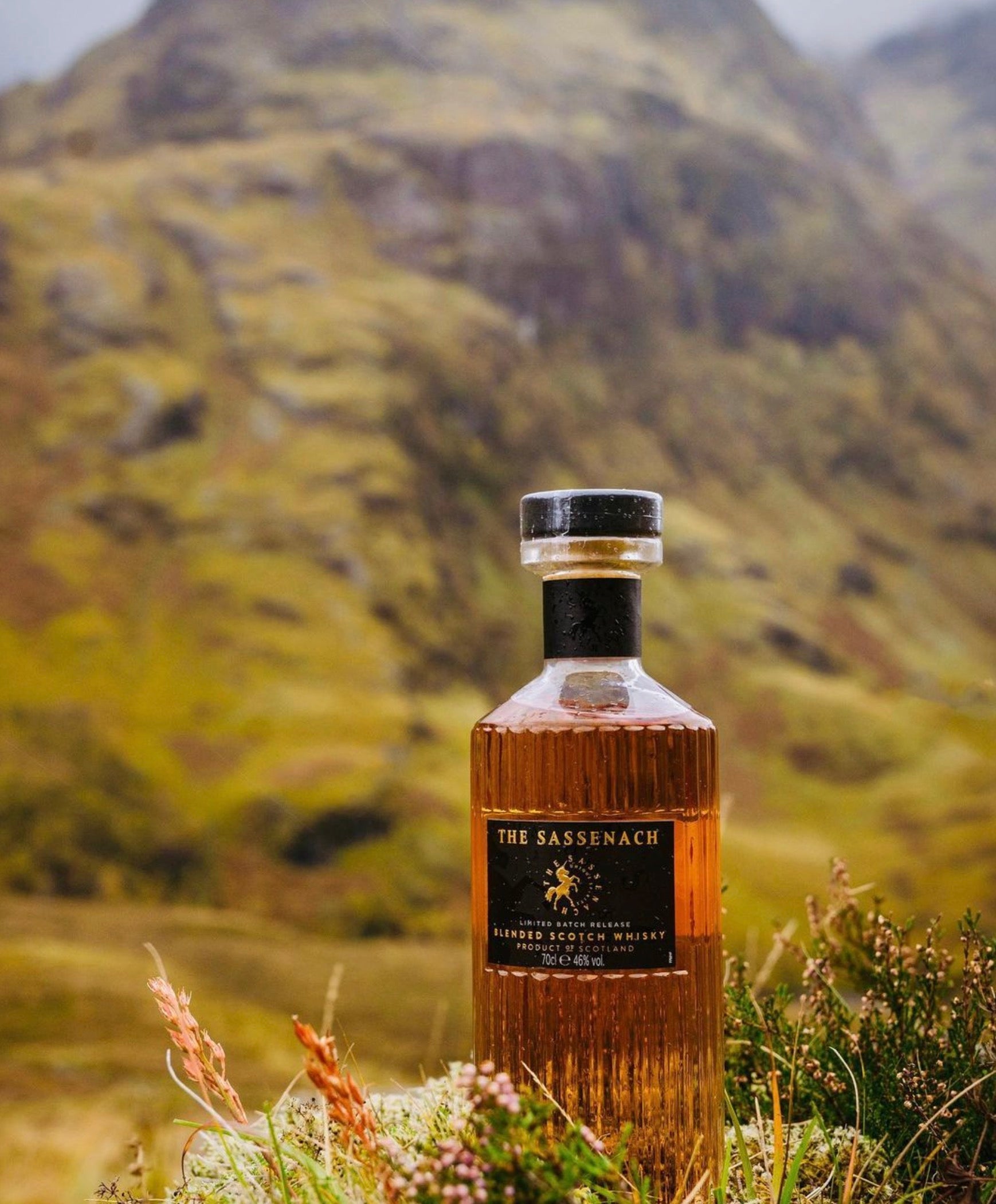 THE SASSENACH BLENDED SCOTCH WHISKY | Premium Spirits & Liquor