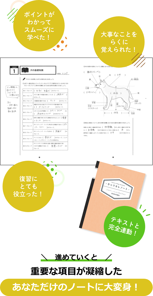 教材セット｜トリマー資格講座｜通信教育講座・資格のキャリカレ