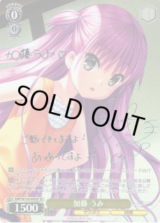 ヴァイスシュヴァルツ 加藤うみ、並々ならぬ情熱うみ PSA10セット 2025