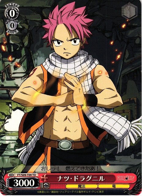 フェアリーテイル ヴァイス ナツ・ドラグニル SSP WS フェアリーテイル