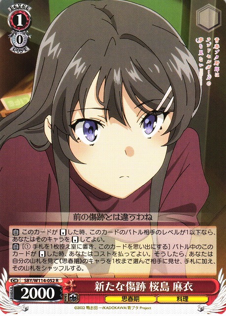 BGS10 ブラックラベル 桜島麻衣 君と過ごした一年間 ABR ヴァイス