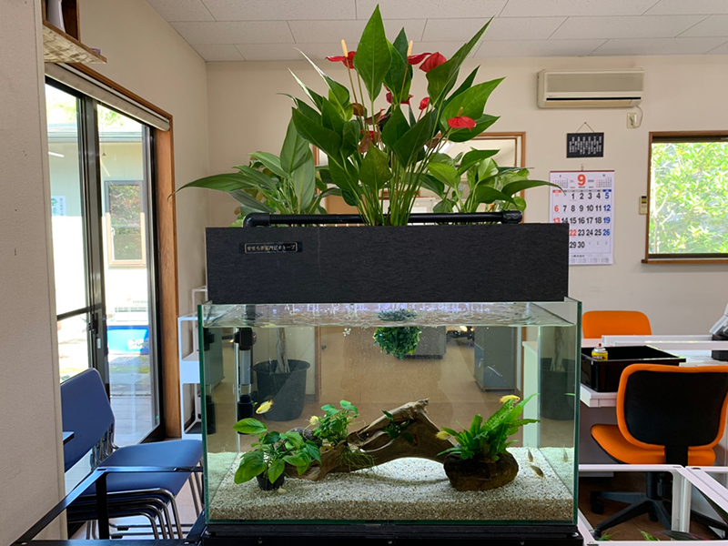 06 せせらぎ室内ビオトープ / 2020グッドアクアリウムデザイン賞