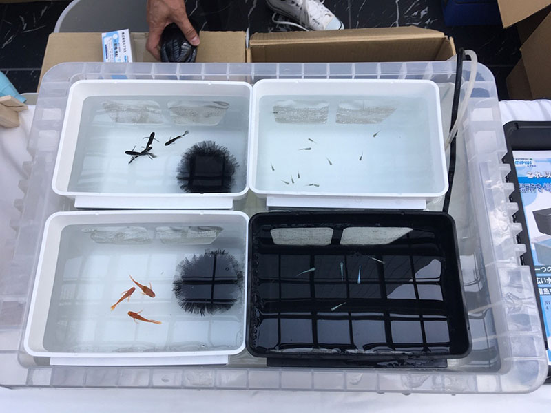 めだか水槽分割容器 わけぷか / 株式会社ミプラス | GOOD AQUARIUM