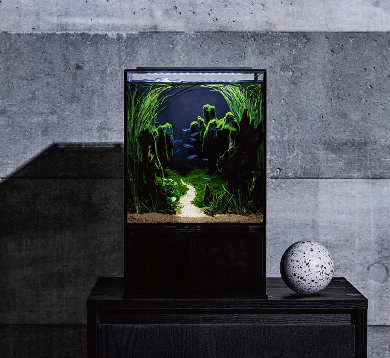 2022-04 GEX aquarista Glassterior AGS SLIDE OF-230 / 2022グッド