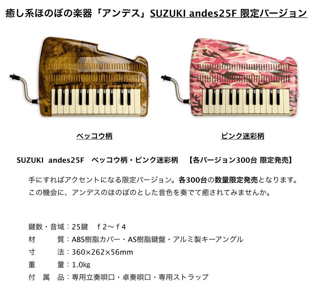 SUZUKI andes 25F ピアニカ 木目調 収納ケース付き SUZUKI andes 25F