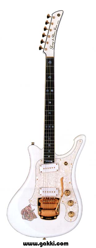 ガッキコム】ヤマハエレキギター「寺内タケシとブルージーンズ」結成45