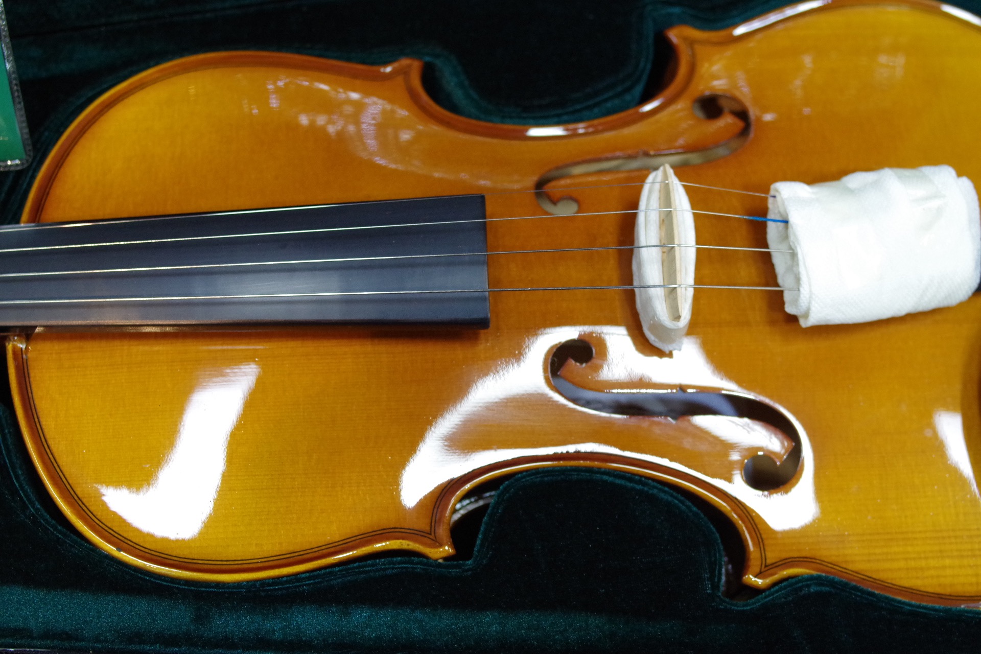 Hallstatt（ハルシュタット） エレクトリックバイオリン ケース付き