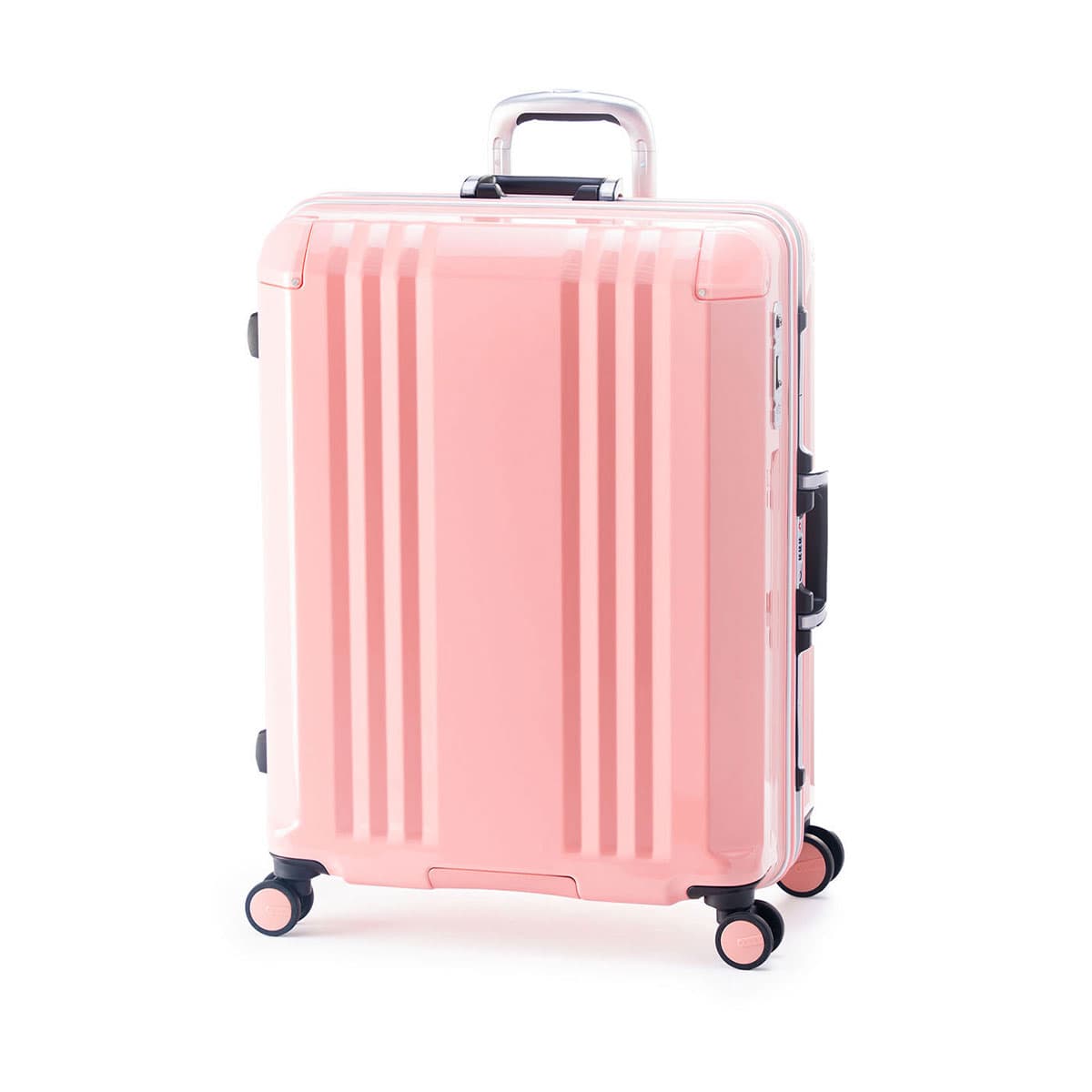 超レア LOEWE リピーター キャリーケース アナグラム トラベル 【公式