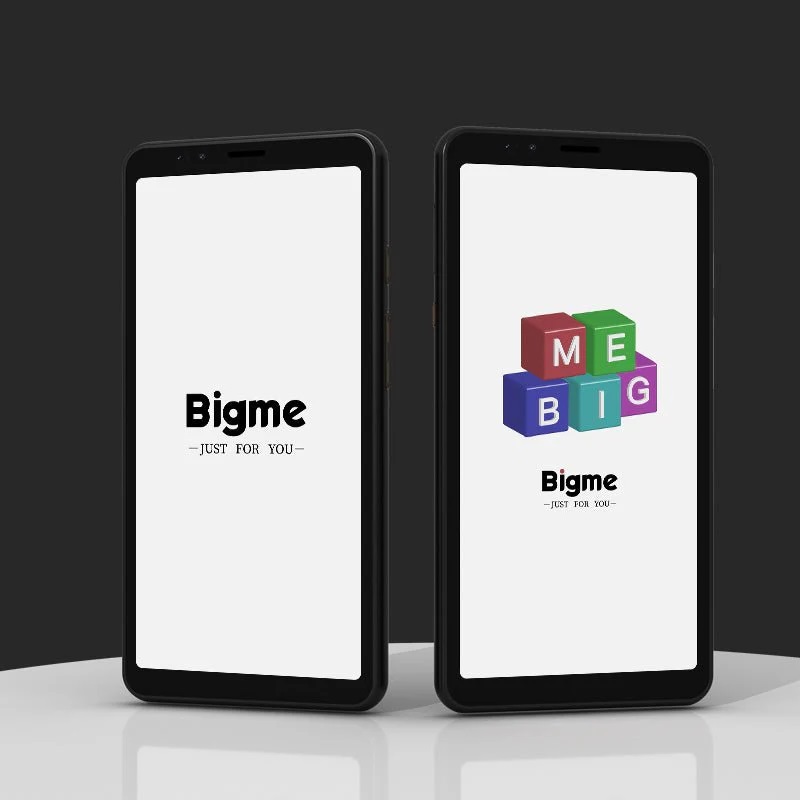 カラー電子ペーパー搭載スマホ「Bigme Hibreak日本語版」