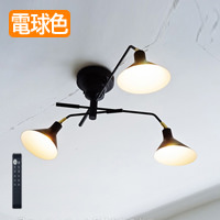 リモコン式 可動型3灯式シーリングスポット ブラック リモコン式 可動