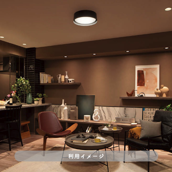 Panasonic LGC31180 ブラック シーリングライト 2 Panasonic