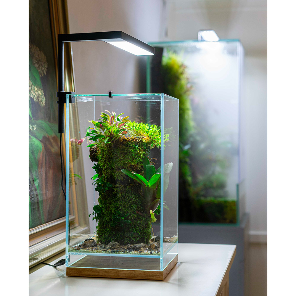 NEO GLASS AIR 300×300×450 ガラス水槽 dooa NEOGLASSAIR 300×300×450