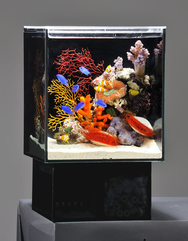 水槽 tkm GEX ags of-450 Treasures from the storage shed! Setting