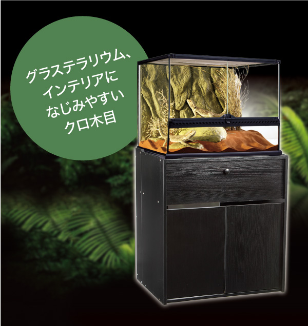 桃愛GEX グラステラリウム 6045 桃愛GEX グラステラリウム 6045 グラス